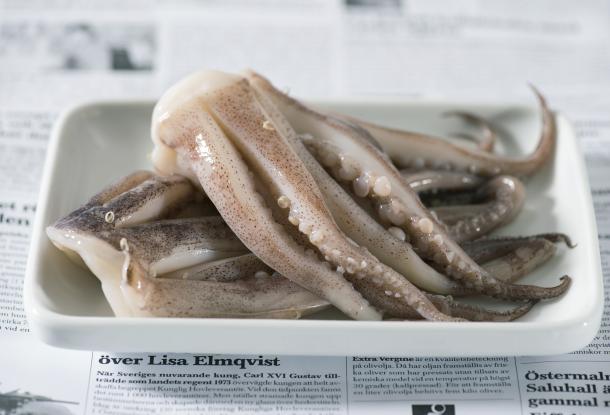 Bläckfisk tentakler Loligo, stor